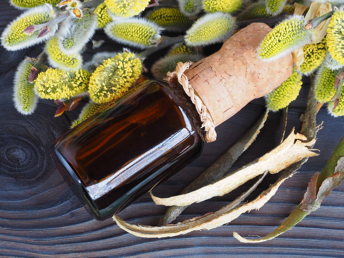 Aspirin is derived from willow