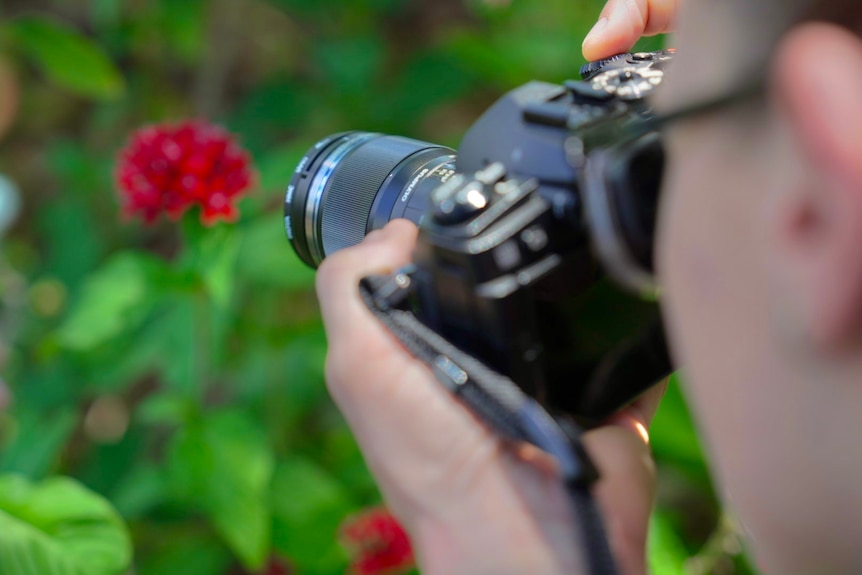 A photo of someone taking a close-up shot of a flower.