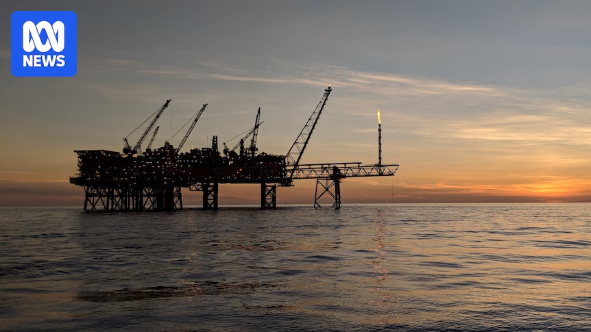 Calls for tighter regulations after Woodside knowingly shed plastic into ocean