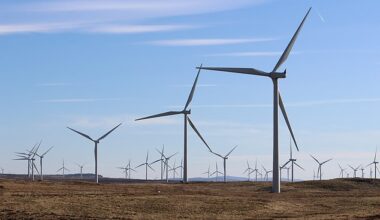 In constraint payments alone, wind farms in Scotland have been paid a remarkable £346,847,461 to stand idle