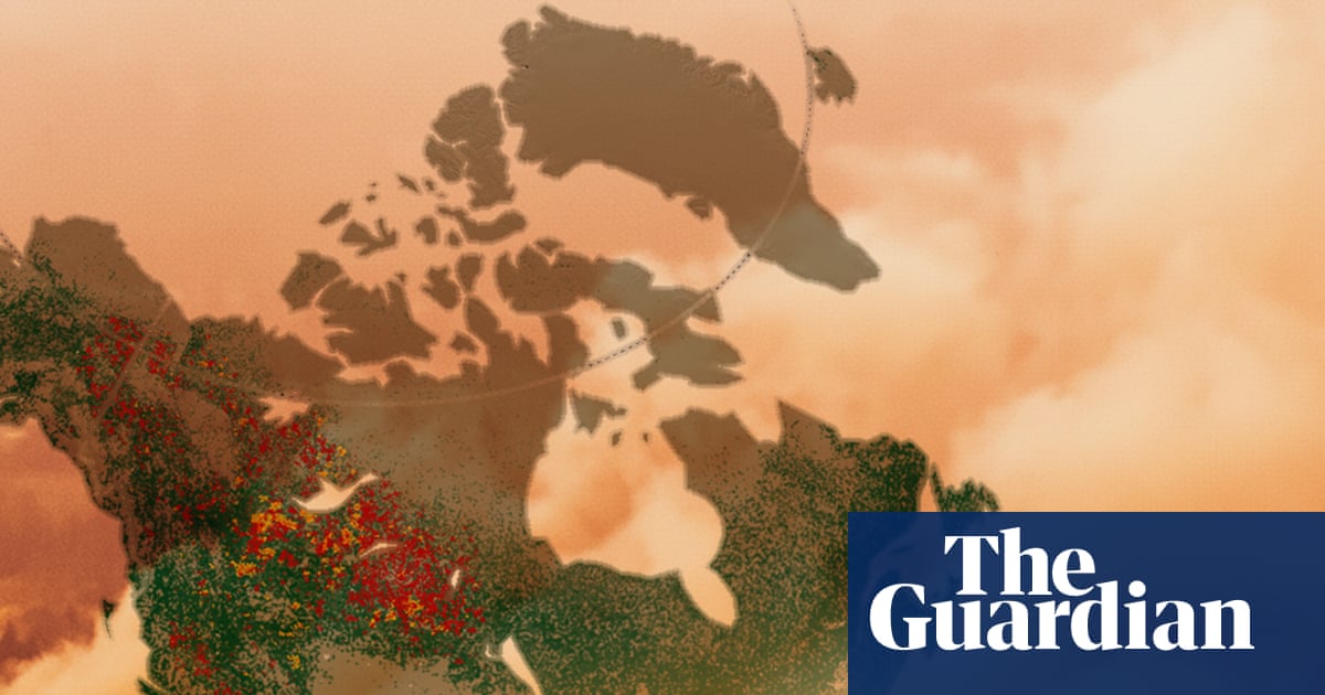 Mapped: how the world is losing its forests to wildfires | Wildfires