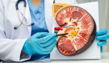 Bile Acids Linked to CKD Progression - EMJ
