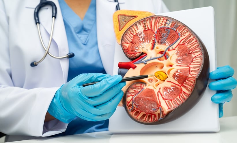 Bile Acids Linked to CKD Progression - EMJ