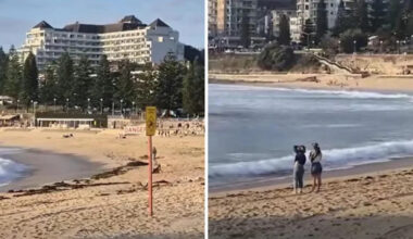 Wild footage as shark leaps near teens