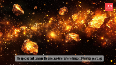 Survived the dinosaur-killer asteroid 66 million years ago! Meet the sea creatures that refused to die