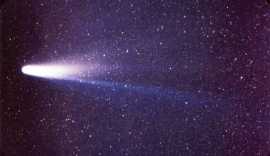 Comet 1P/Halley as taken March 8, 1986 by W. Liller, Easter Island, part of the International Halley Watch (IHW) Large Scale Phenomena Network (NASA/W. Liller)