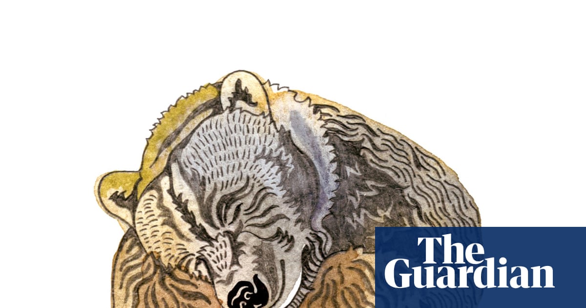 How do bears know when to wake up from their hibernation? The kids’ quiz | Family