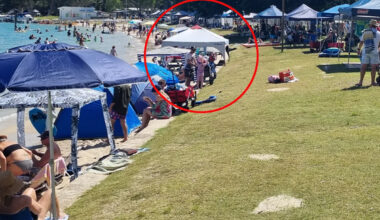 Controversial beach act prompts $60 fine warning as shores overrun with tourists