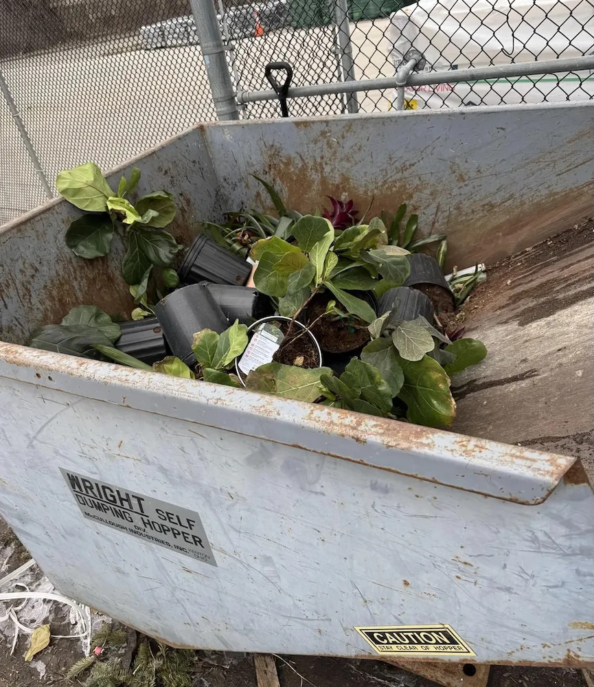 One Redditor lambasted Lowe's for throwing away live plants and shared a photo from the garden section of their local store.