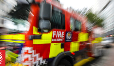 Large tree falls on house in Auckland suburb during thunderstorm