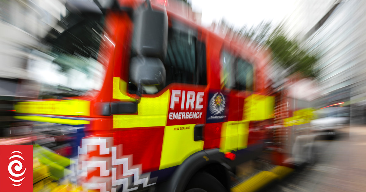 Large tree falls on house in Auckland suburb during thunderstorm