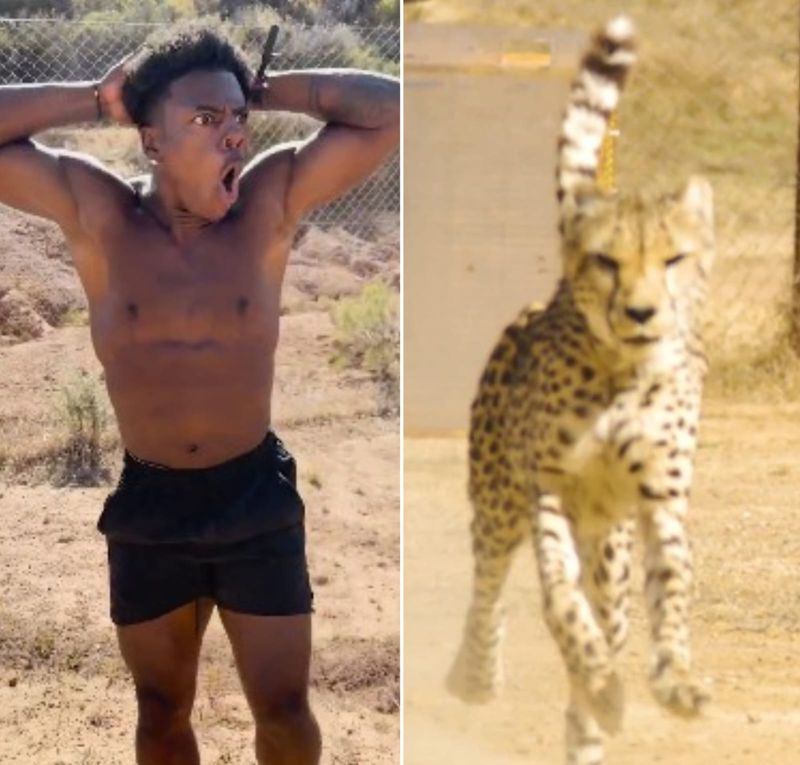 Would you dare to race world's fastest land animal? Watch IShowSpeed take the challenge