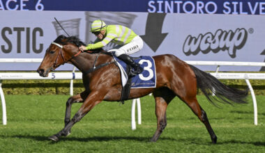 Savvy Hallie is the class runner - image Bradley Photos