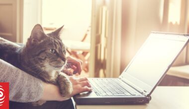 Can office culture survive the work-from-home revolution? Yes, but you can’t force the fun