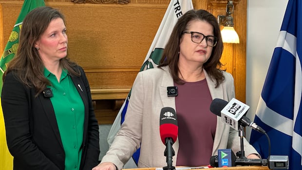 Sask. NDP slam premier over comments about health care in Rebel News interview