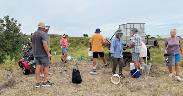 Golf club plants 120 trees and shrubs after destructive mistake