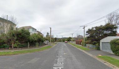 'Stab threat' in Dunedin neighbours at war cat dispute