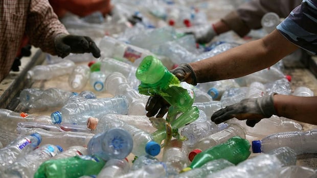 Black plastic and toothpaste tubes can now go in Hamilton's blue box