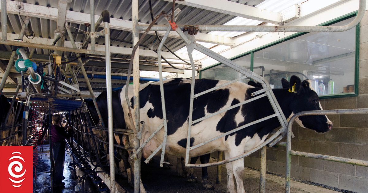 Dairy prices reverse course, with demand rising