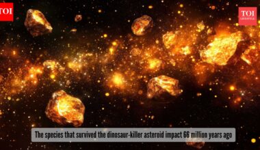 Survived the dinosaur-killer asteroid 66 million years ago! Meet the sea creatures that refused to die |