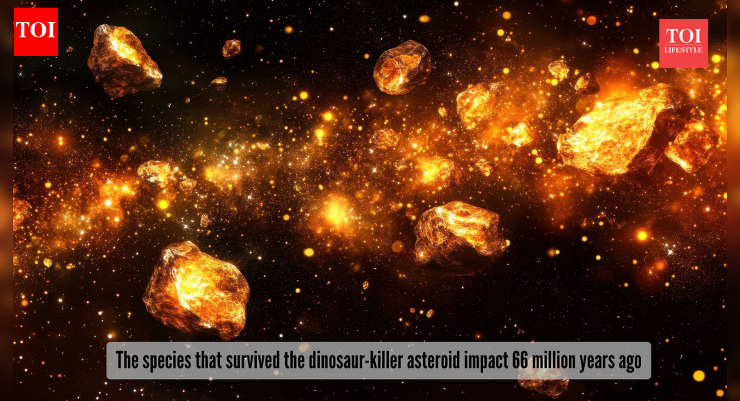 Survived the dinosaur-killer asteroid 66 million years ago! Meet the sea creatures that refused to die |