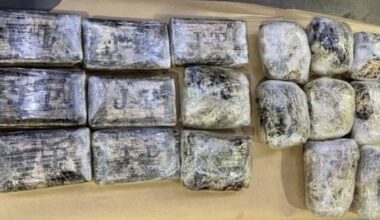 SunLive - Port of Tauranga: 18kg cocaine and meth bust