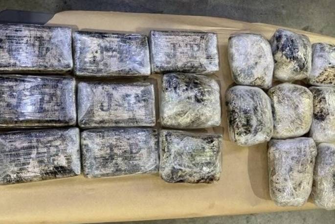SunLive - Port of Tauranga: 18kg cocaine and meth bust