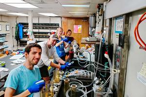 University of Tennessee shows viral impact on ocean oxygen