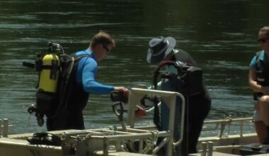 Bodies of swimmer, missing man recovered from Waikato River