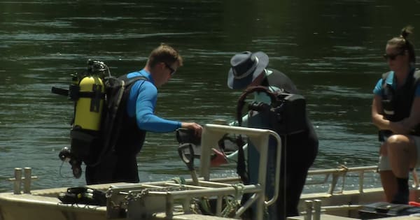 Bodies of swimmer, missing man recovered from Waikato River