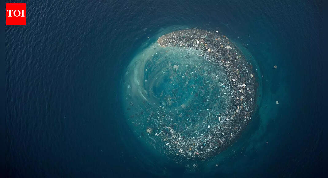 The Great Pacific Garbage Patch is becoming home to some aquatic species |