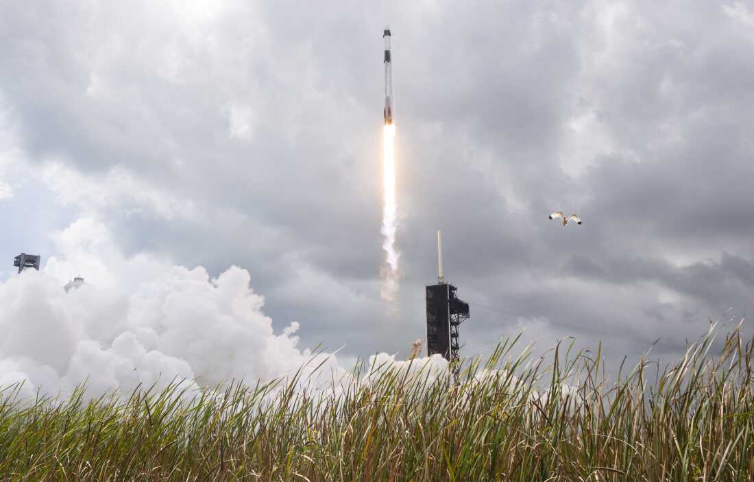 NASA's Crew-11 is shown taking off on a SpaceX rocket from the Kennedy Space Center in Florida last August for the International Space Station. NASA decided to end the mission and return to Earth a month early because one of the four members has an undisclosed medical condition.