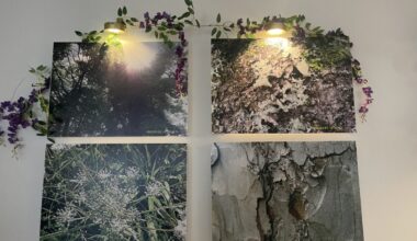 Photography exhibition celebrates nature, confidence, and creativity thanks to Mental Health Investment Fund 