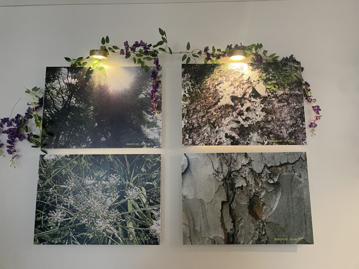 Photography exhibition celebrates nature, confidence, and creativity thanks to Mental Health Investment Fund 