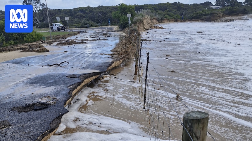 Artificial reefs among options in coastal SA town's erosion battle
