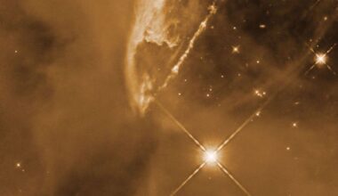 Protostars in the Orion Molecular Cloud complex, as seen by the Hubble Space Telescope. Credit: NASA, ESA, and T. Megeath (University of Toledo); Processing: Gladys Kober (NASA/Catholic University of America)