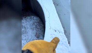 Tiny Paw Prints In Snow Lead Rescuer To Animal Stranded In Drained Canal