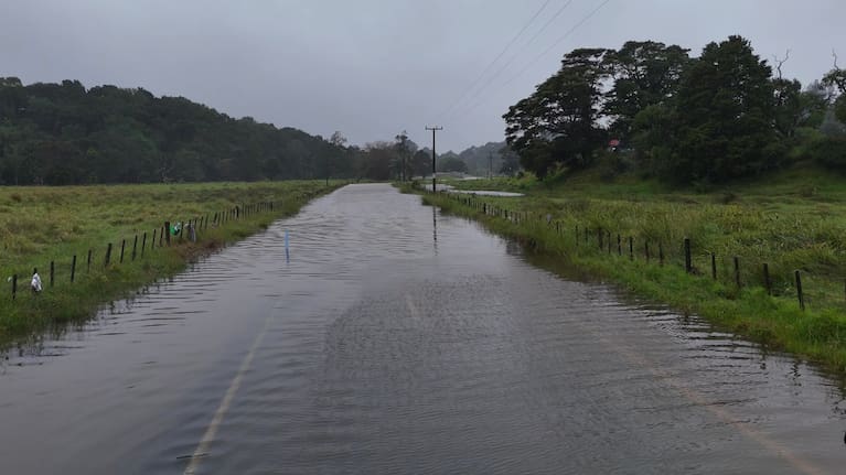 Russell Road near Ōakura.