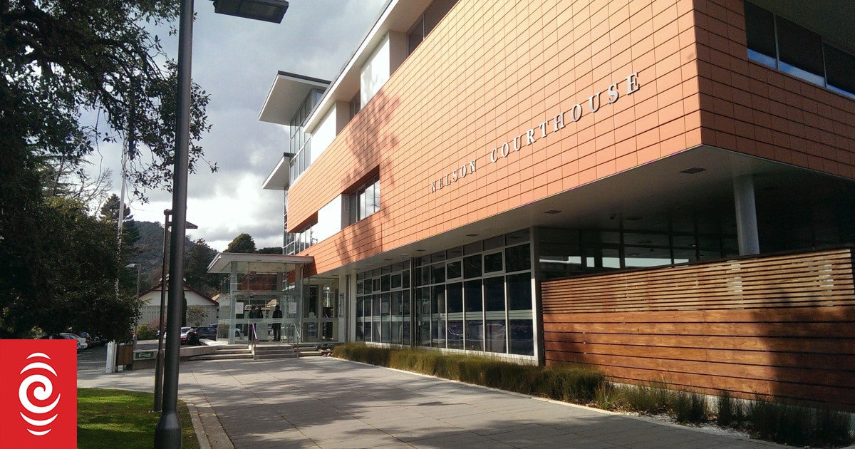 Nelson teen admits stabbing stranger in alleyway attack