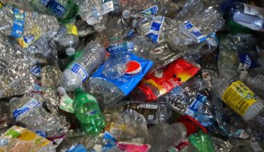 Plastic recycling in California has failed. You don't have to
