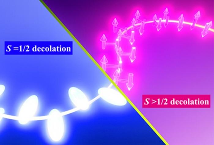 Quantum spin size determines whether the Kondo effect suppresses or preserves magnetism