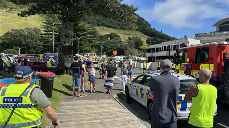 FENZ and emergency services were on the scene,