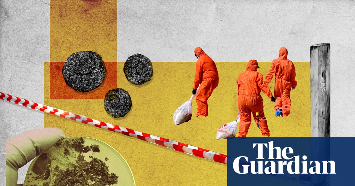 Why does Sydney pump sewage into the ocean and put its famous beaches at risk of poo balls? | Sydney