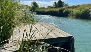 Whitebait stand takedown orders spark concern from casual users