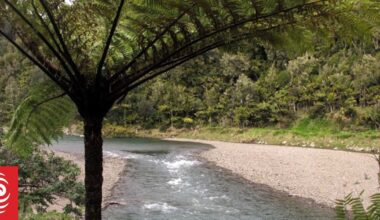 Search underway for man swept downstream in Ōpōtiki