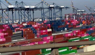 Port of Los Angeles trade volume grows even with drop from China: official