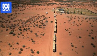 Emergency feed arrives for remote WA pastoralists amid worst drought in decades
