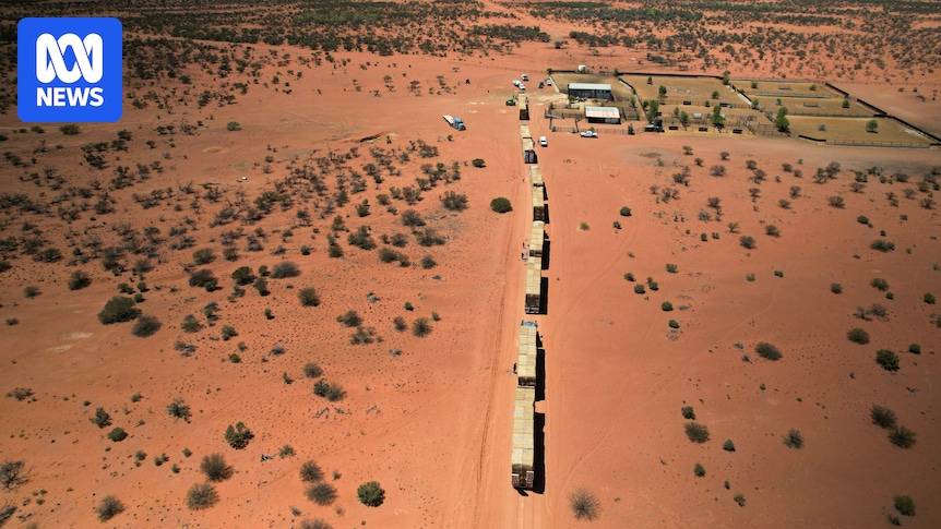 Emergency feed arrives for remote WA pastoralists amid worst drought in decades
