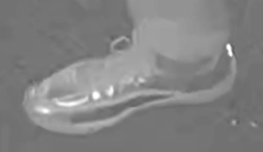 Chrome‑coloured shoes key clue in Hutt Valley bar robbery probe