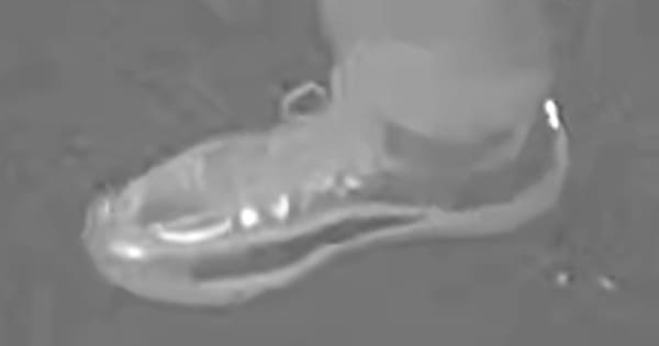 Chrome‑coloured shoes key clue in Hutt Valley bar robbery probe